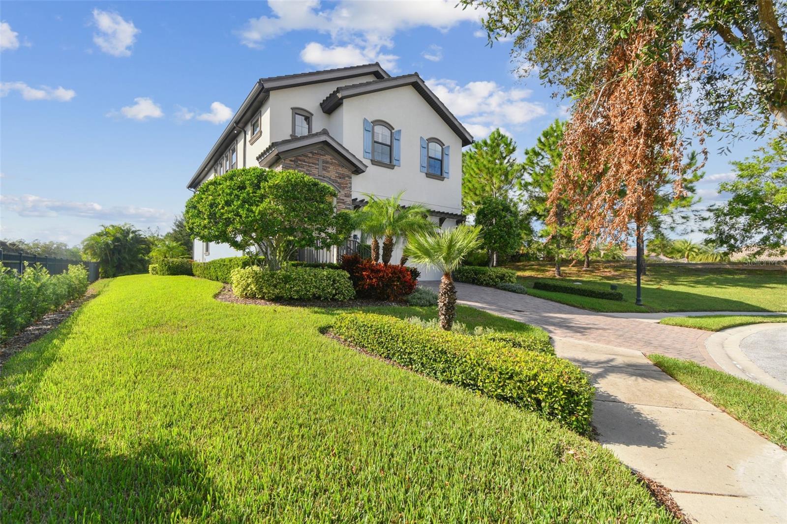 1341 MARINELLA DR, PALM HARBOR, FL, 34683