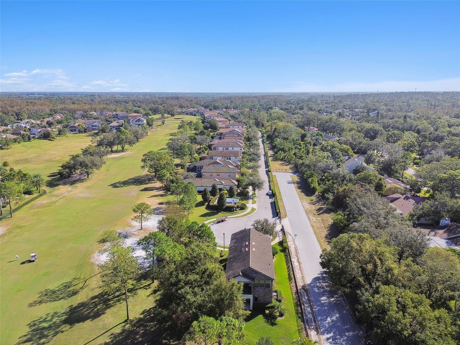 1341 MARINELLA DR, PALM HARBOR, FL, 34683