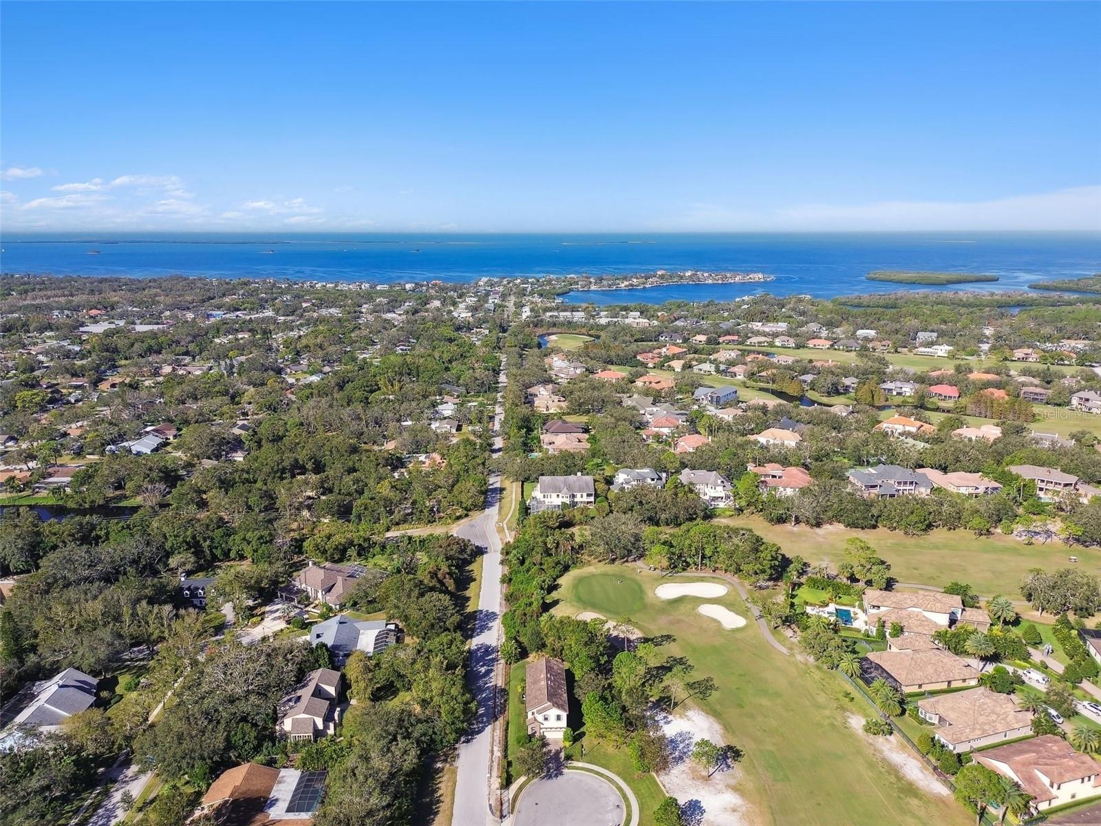 1341 MARINELLA DR, PALM HARBOR, FL, 34683