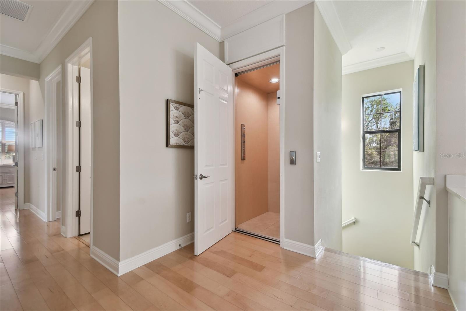 1341 MARINELLA DR, PALM HARBOR, FL, 34683