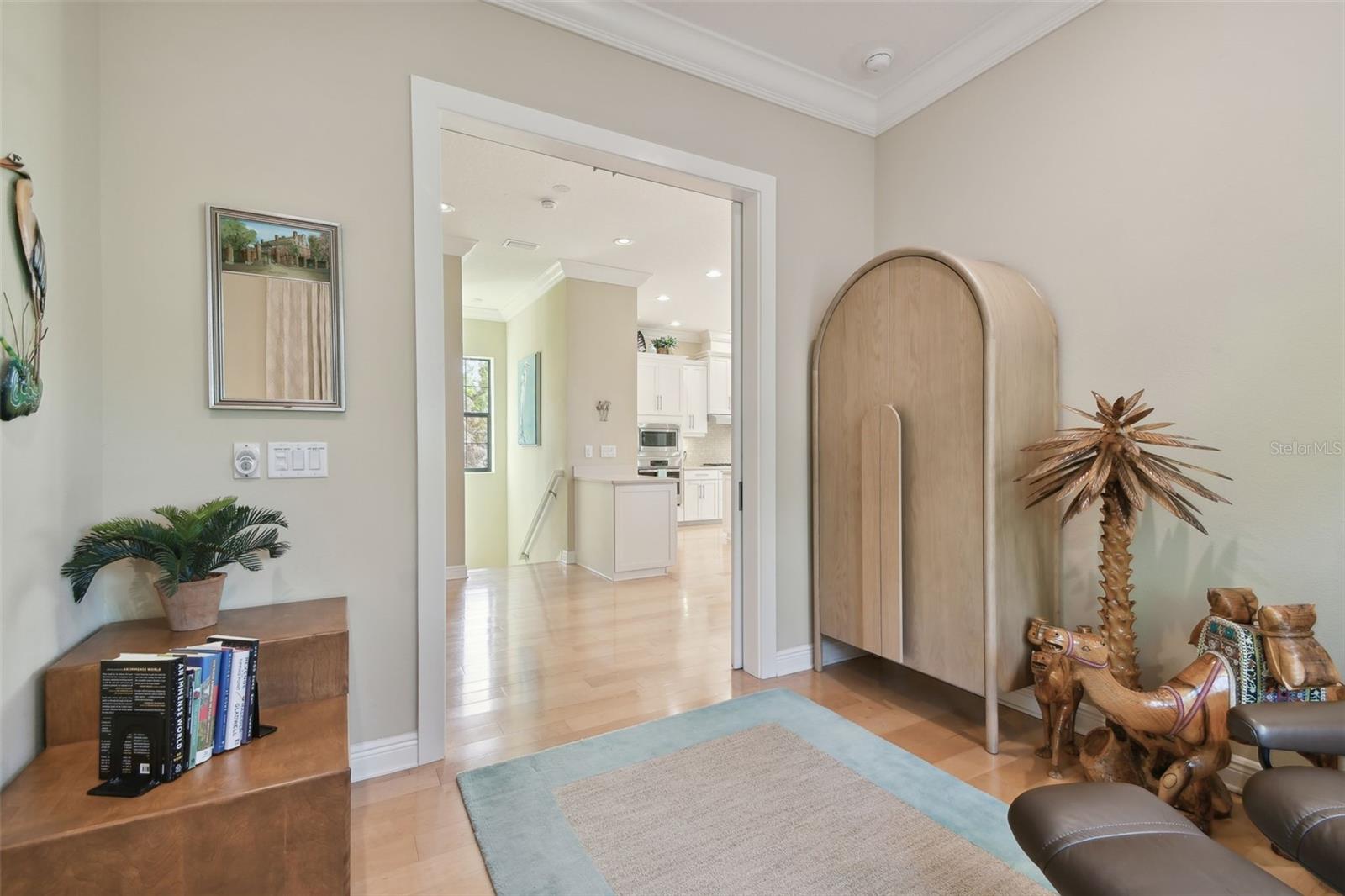 1341 MARINELLA DR, PALM HARBOR, FL, 34683