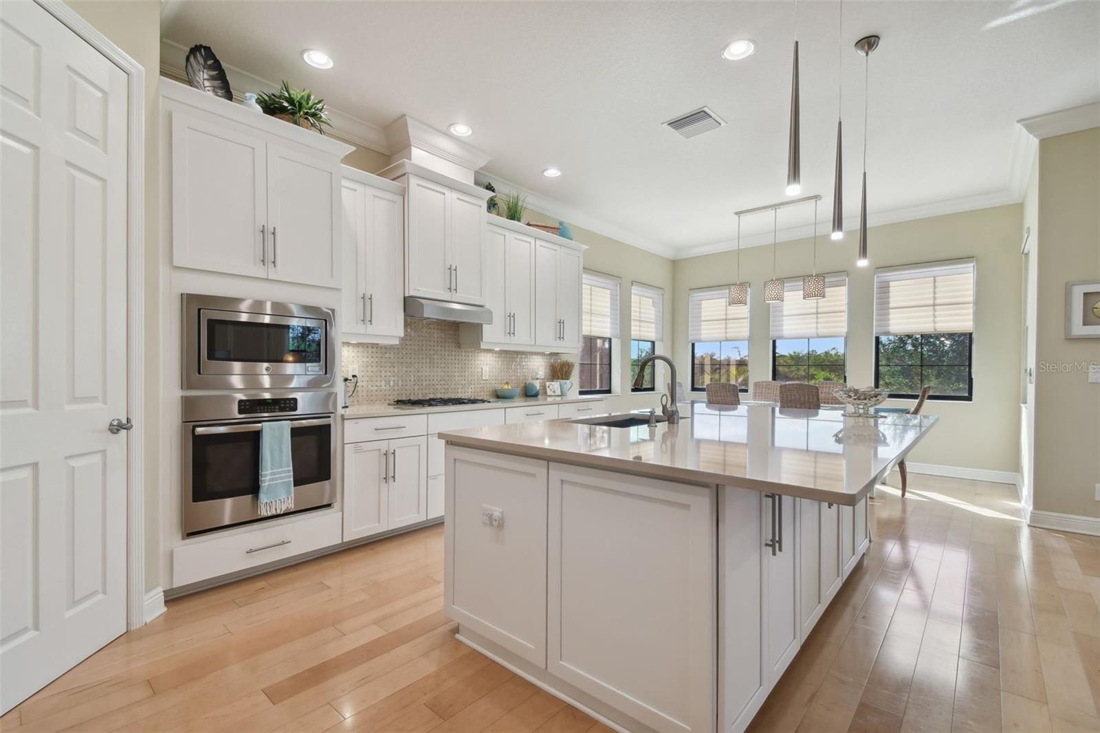 1341 MARINELLA DR, PALM HARBOR, FL, 34683