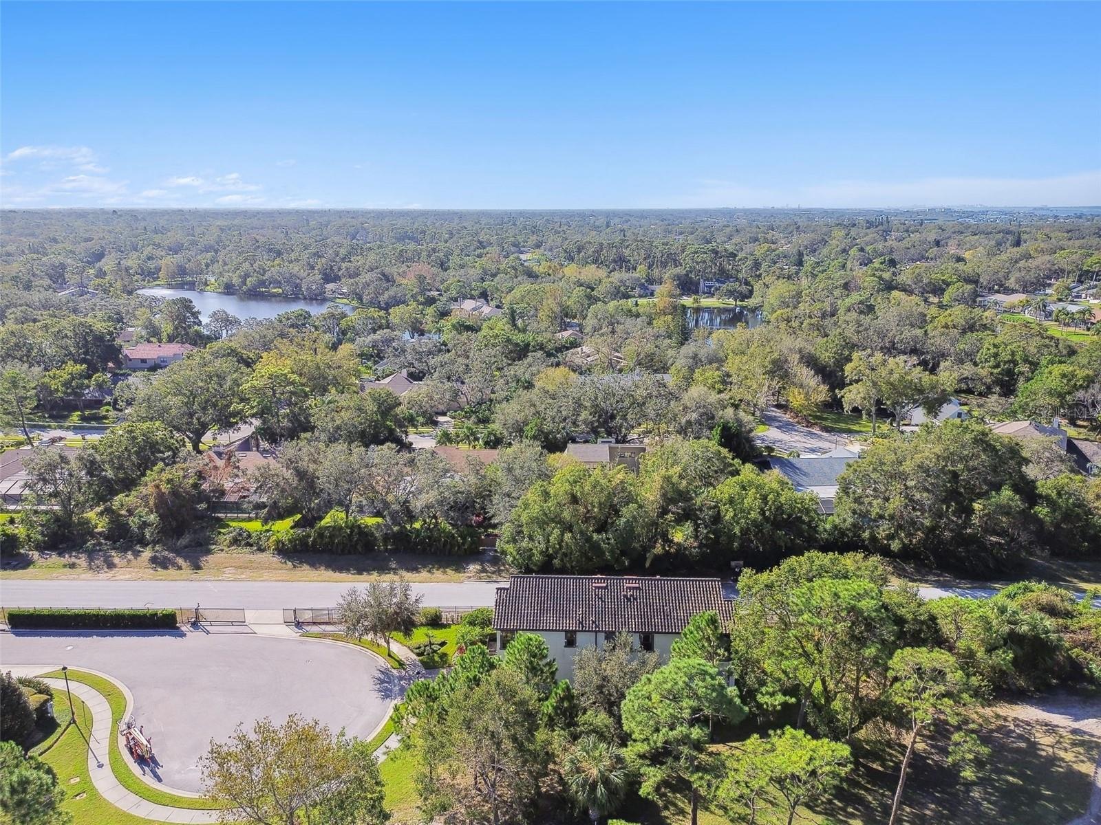 1341 MARINELLA DR, PALM HARBOR, FL, 34683