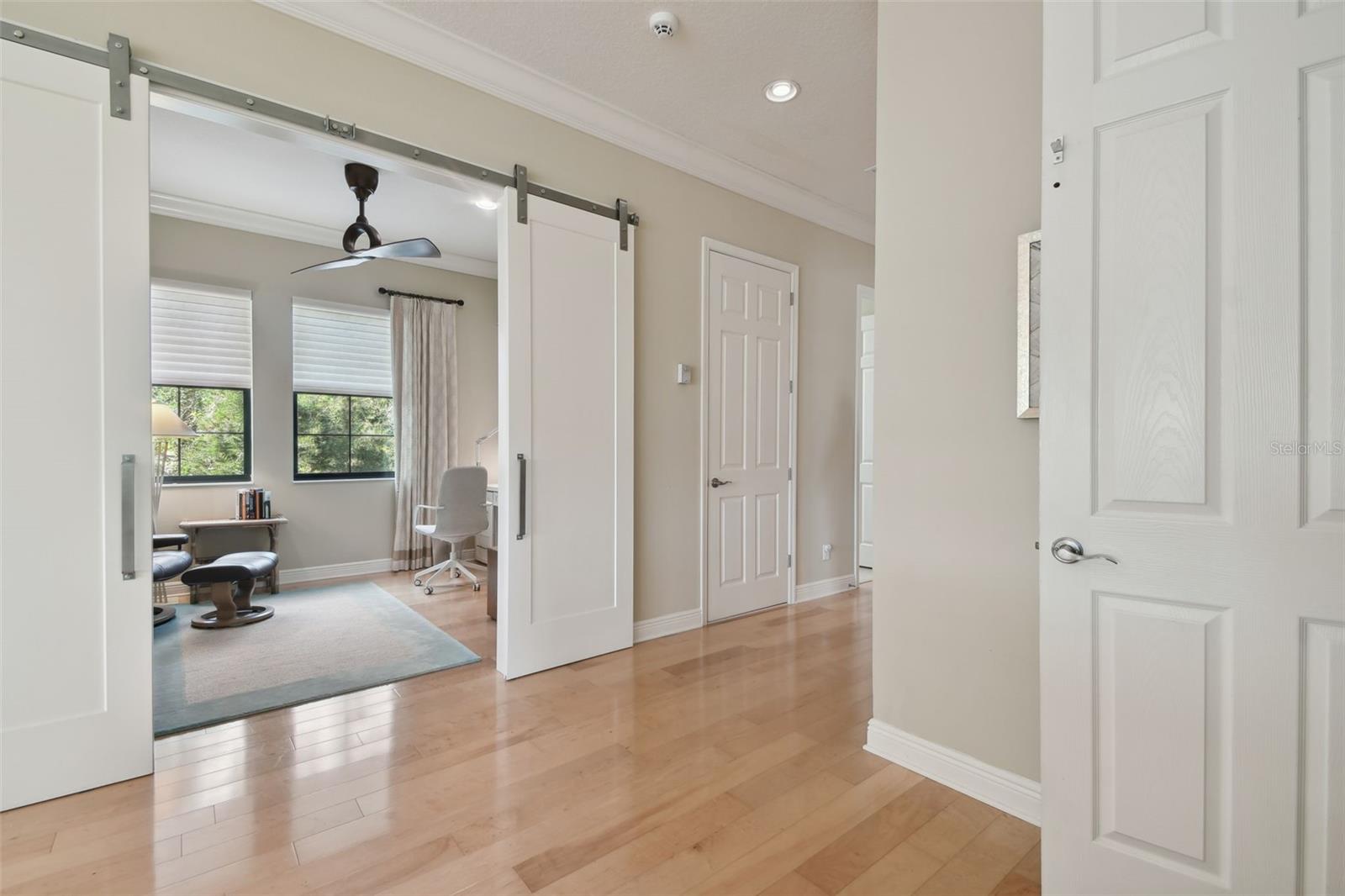 1341 MARINELLA DR, PALM HARBOR, FL, 34683