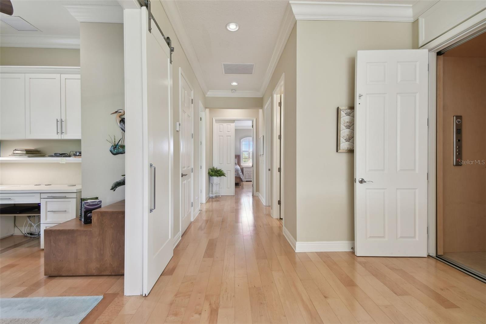 1341 MARINELLA DR, PALM HARBOR, FL, 34683