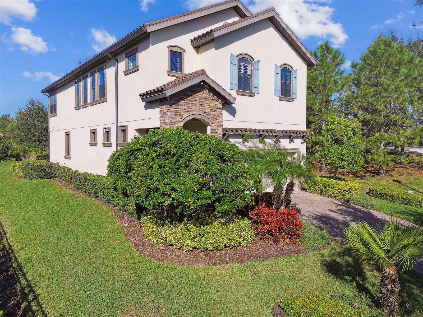 1341 MARINELLA DR, PALM HARBOR, FL, 34683