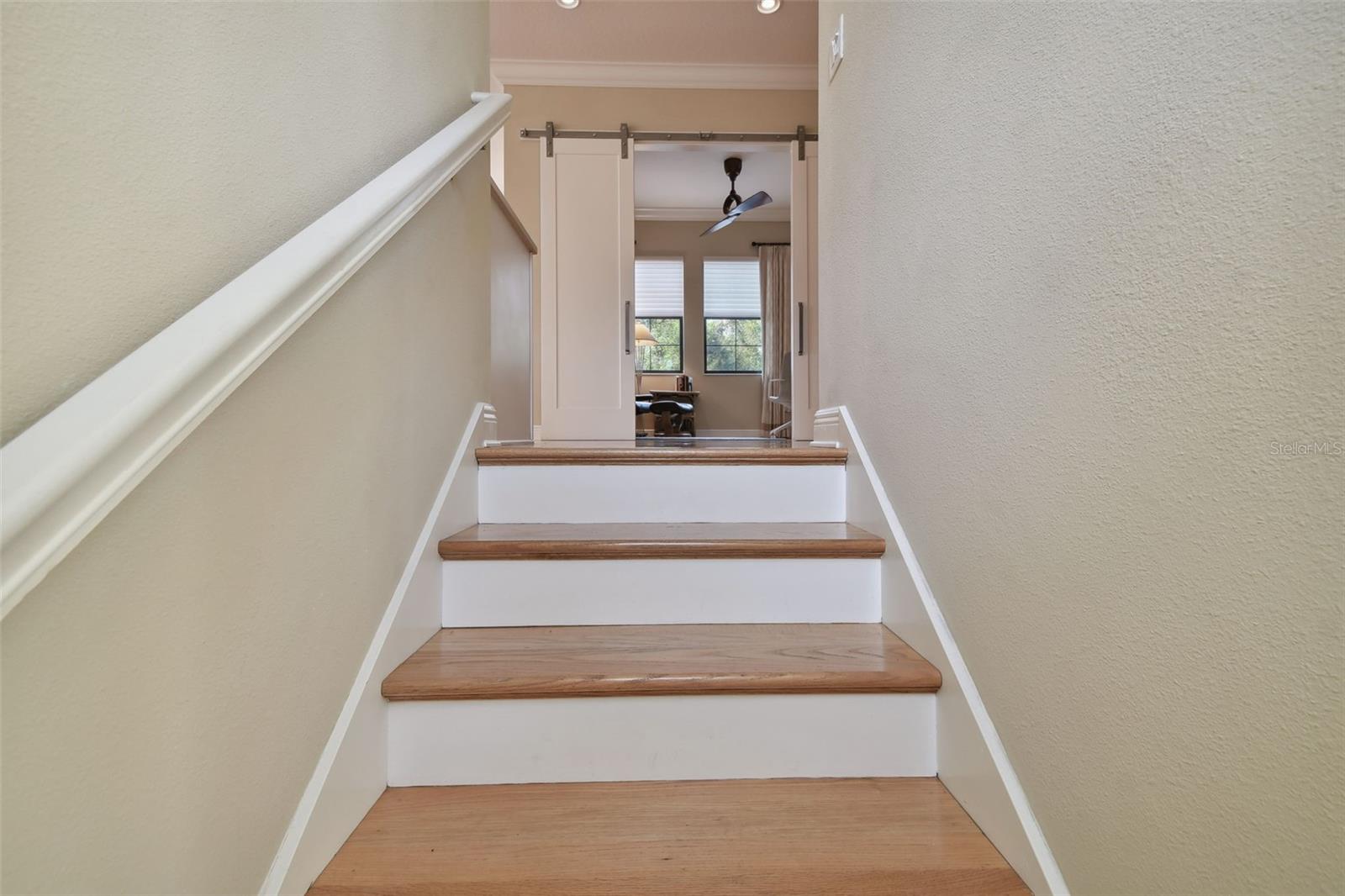 1341 MARINELLA DR, PALM HARBOR, FL, 34683