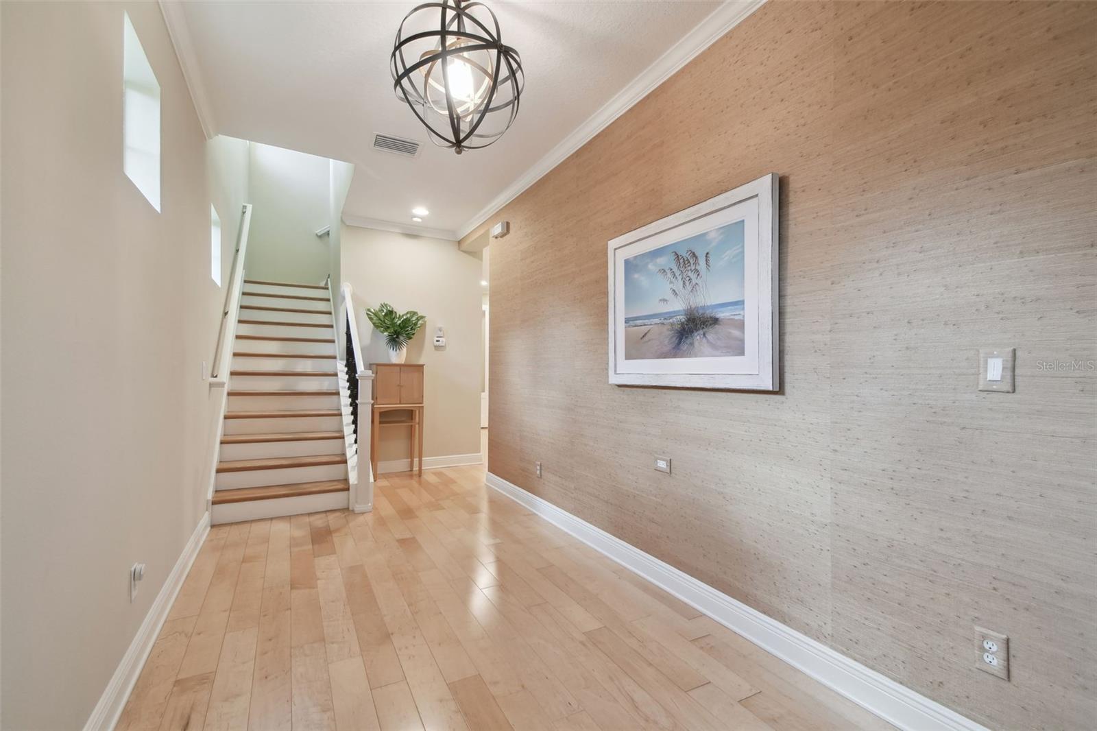 1341 MARINELLA DR, PALM HARBOR, FL, 34683