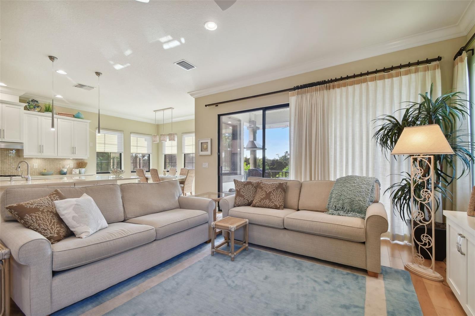 1341 MARINELLA DR, PALM HARBOR, FL, 34683