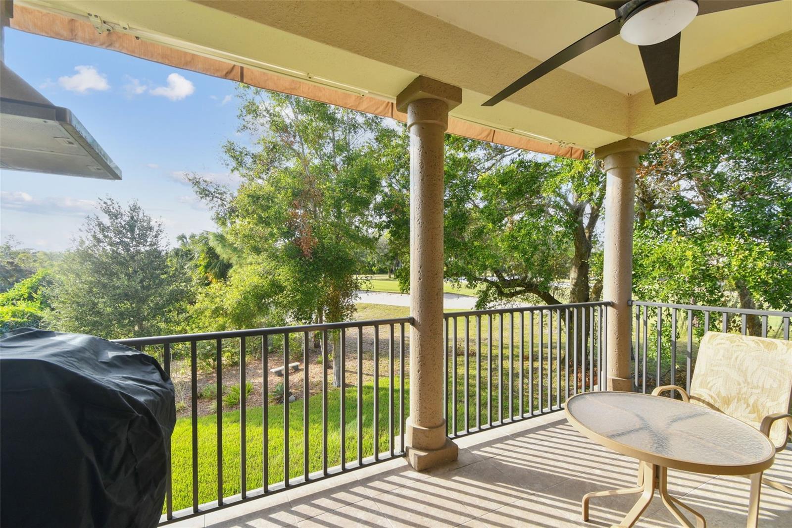 1341 MARINELLA DR, PALM HARBOR, FL, 34683