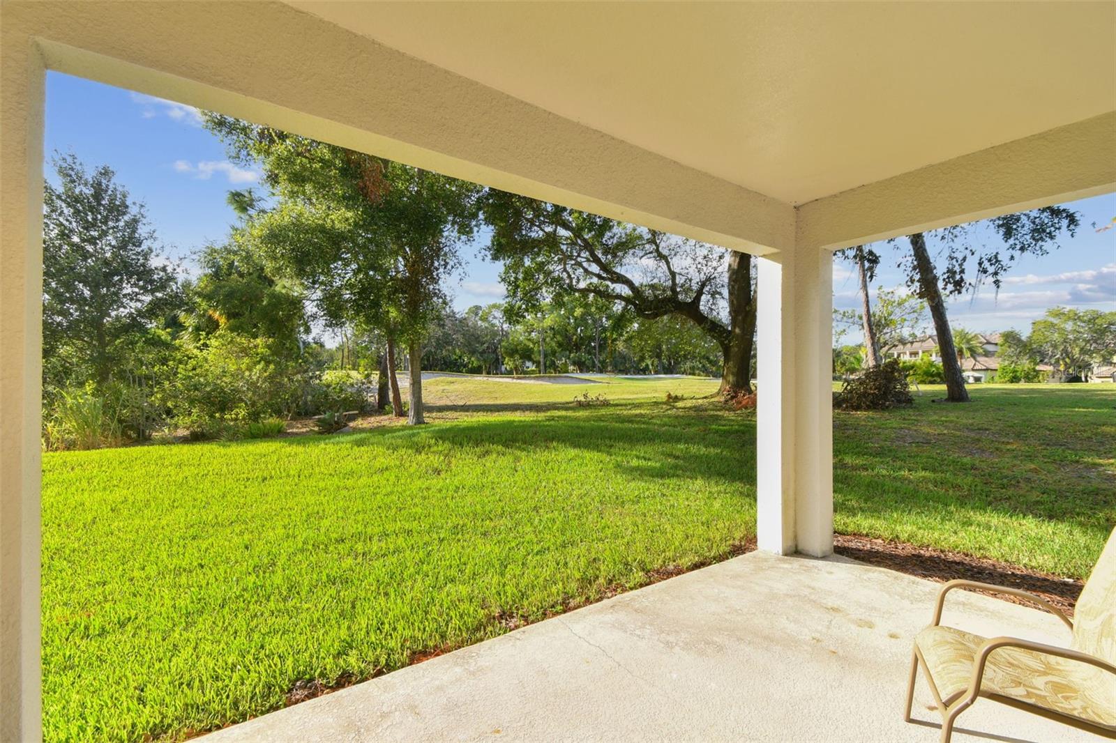 1341 MARINELLA DR, PALM HARBOR, FL, 34683