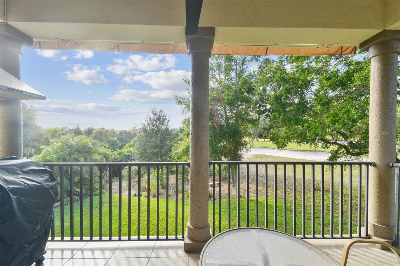 1341 MARINELLA DR, PALM HARBOR, FL, 34683