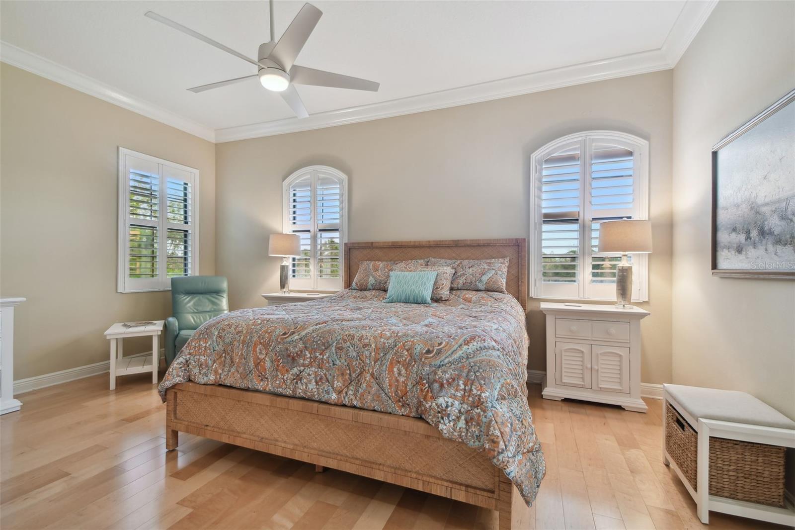 1341 MARINELLA DR, PALM HARBOR, FL, 34683