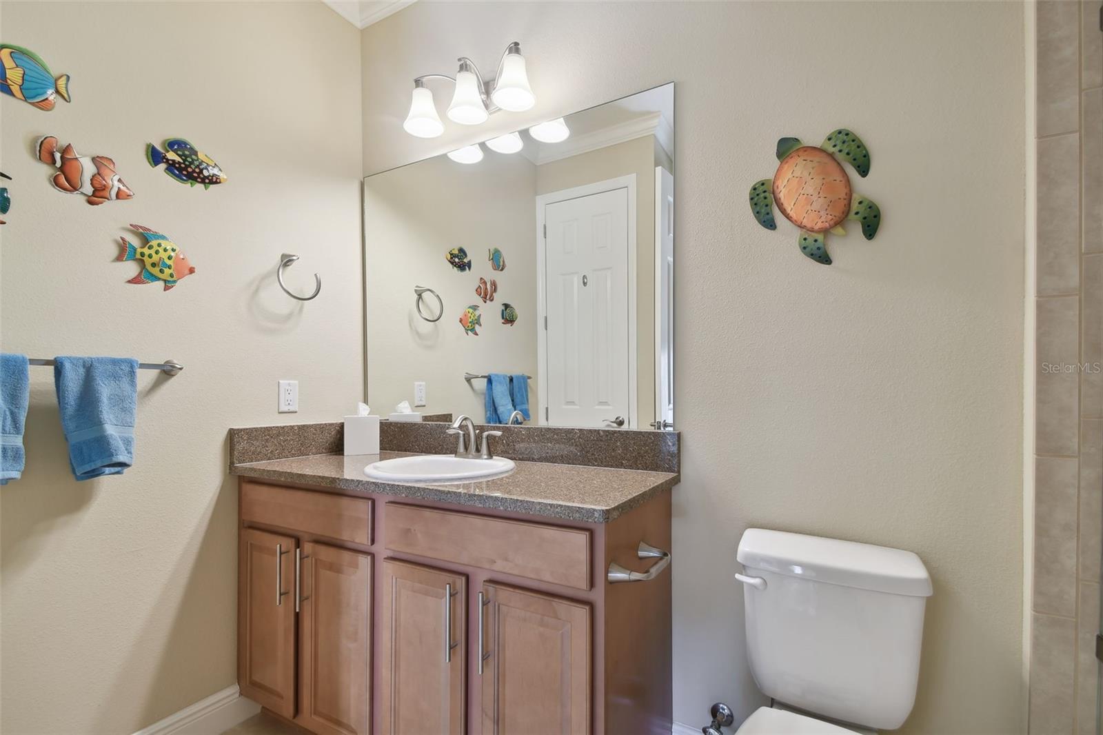 1341 MARINELLA DR, PALM HARBOR, FL, 34683