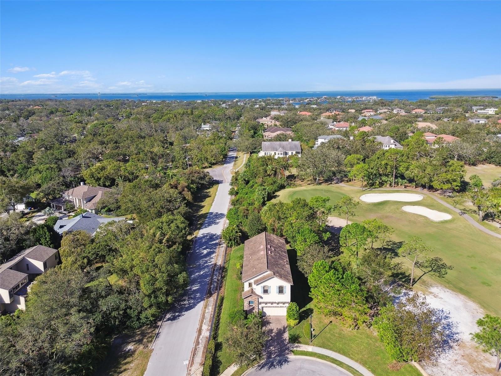 1341 MARINELLA DR, PALM HARBOR, FL, 34683