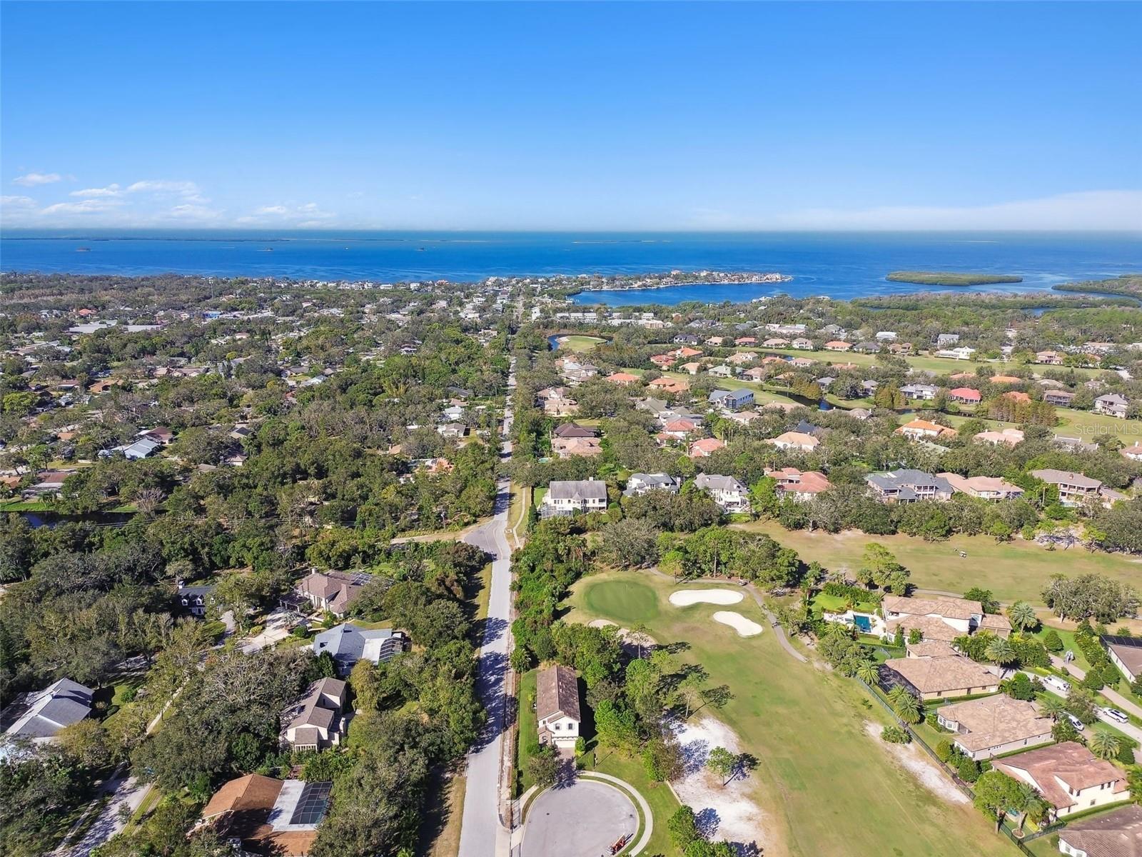 1341 MARINELLA DR, PALM HARBOR, FL, 34683