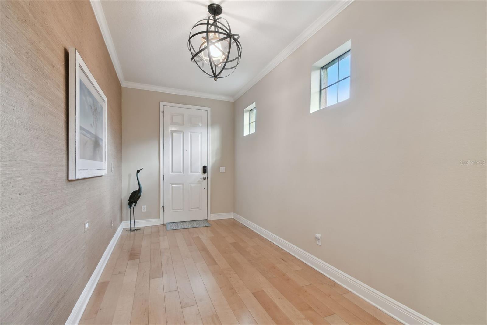 1341 MARINELLA DR, PALM HARBOR, FL, 34683