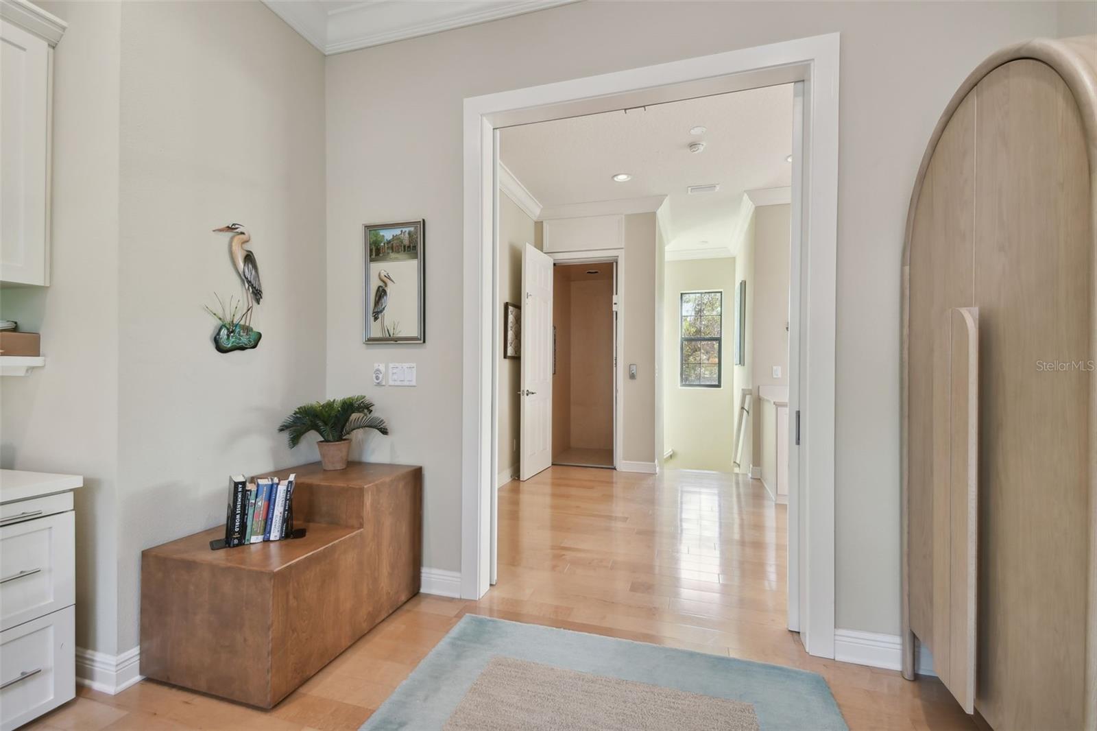 1341 MARINELLA DR, PALM HARBOR, FL, 34683