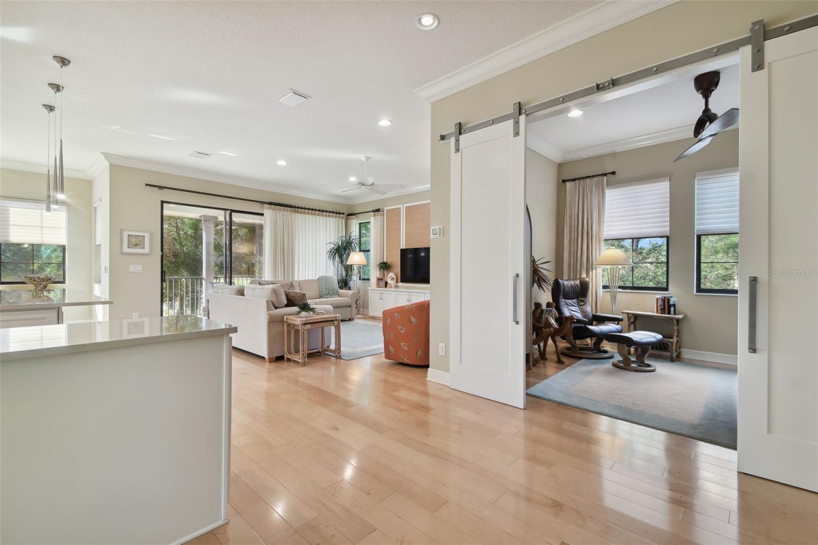 1341 MARINELLA DR, PALM HARBOR, FL, 34683