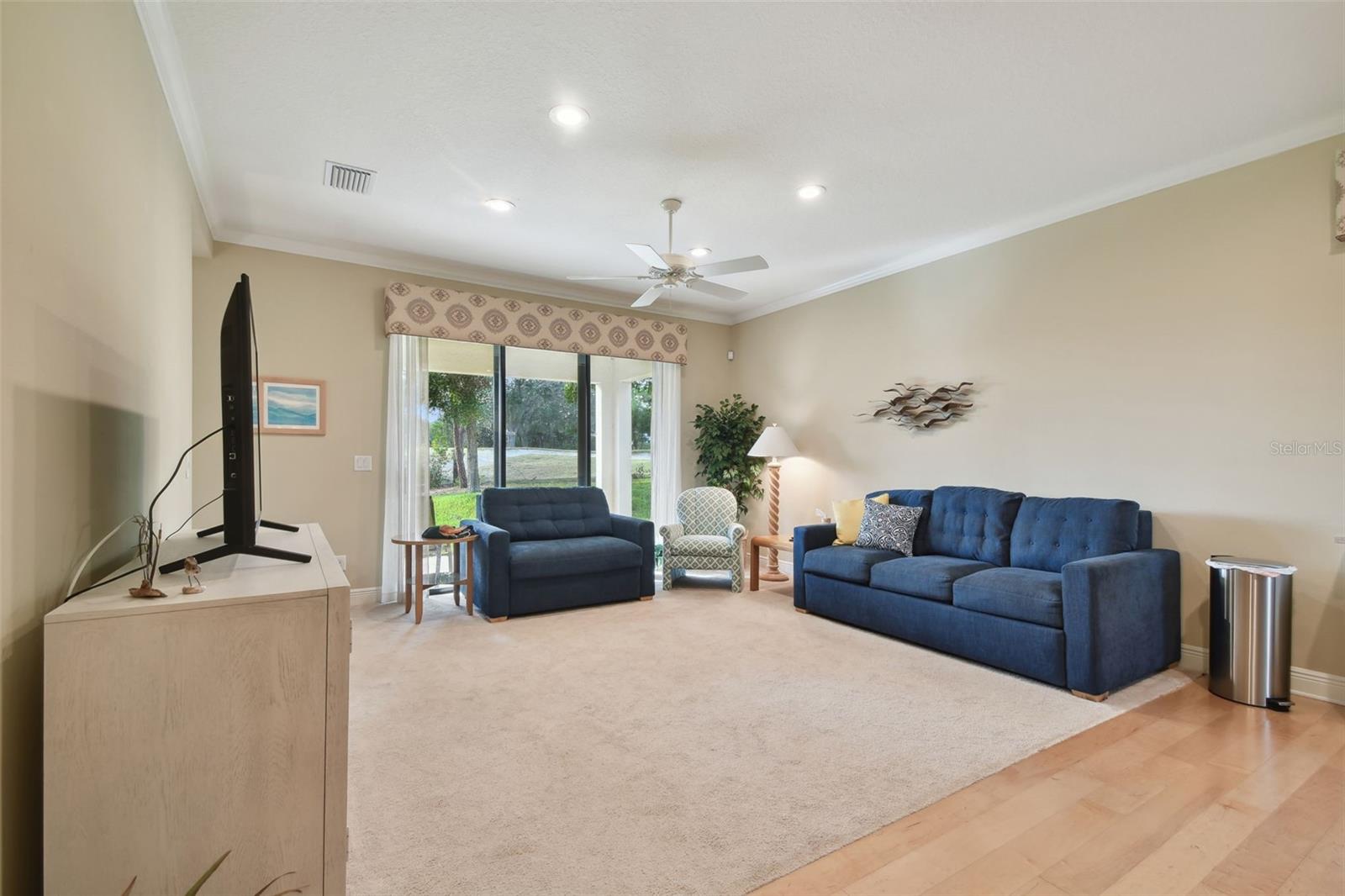 1341 MARINELLA DR, PALM HARBOR, FL, 34683