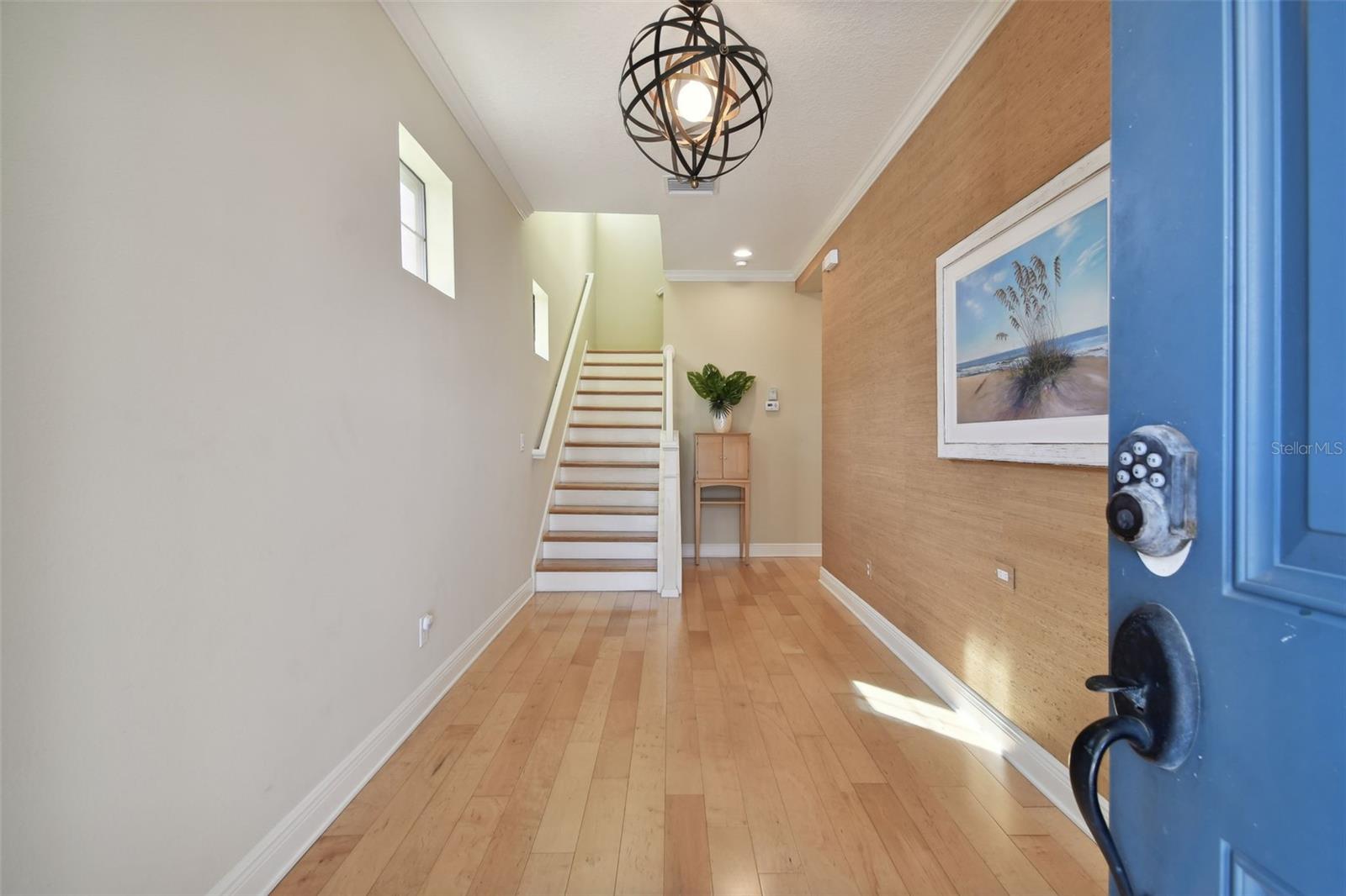 1341 MARINELLA DR, PALM HARBOR, FL, 34683