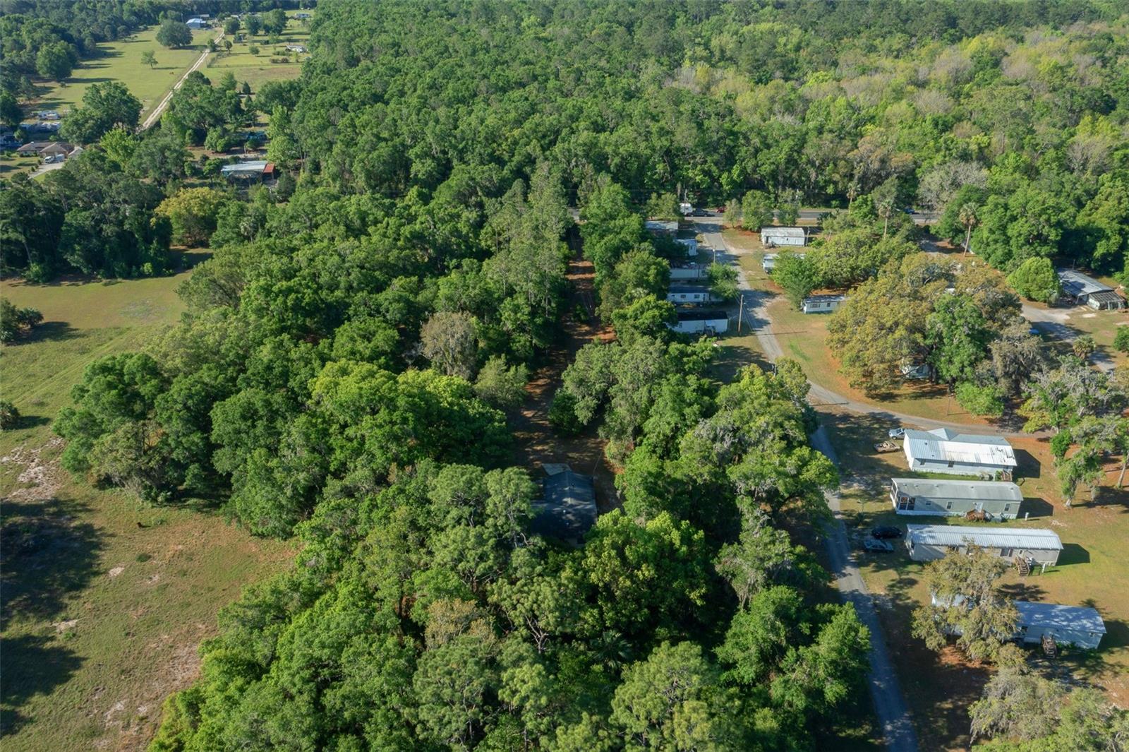 16571 SE 95TH STREET RD, OCKLAWAHA, FL, 32179