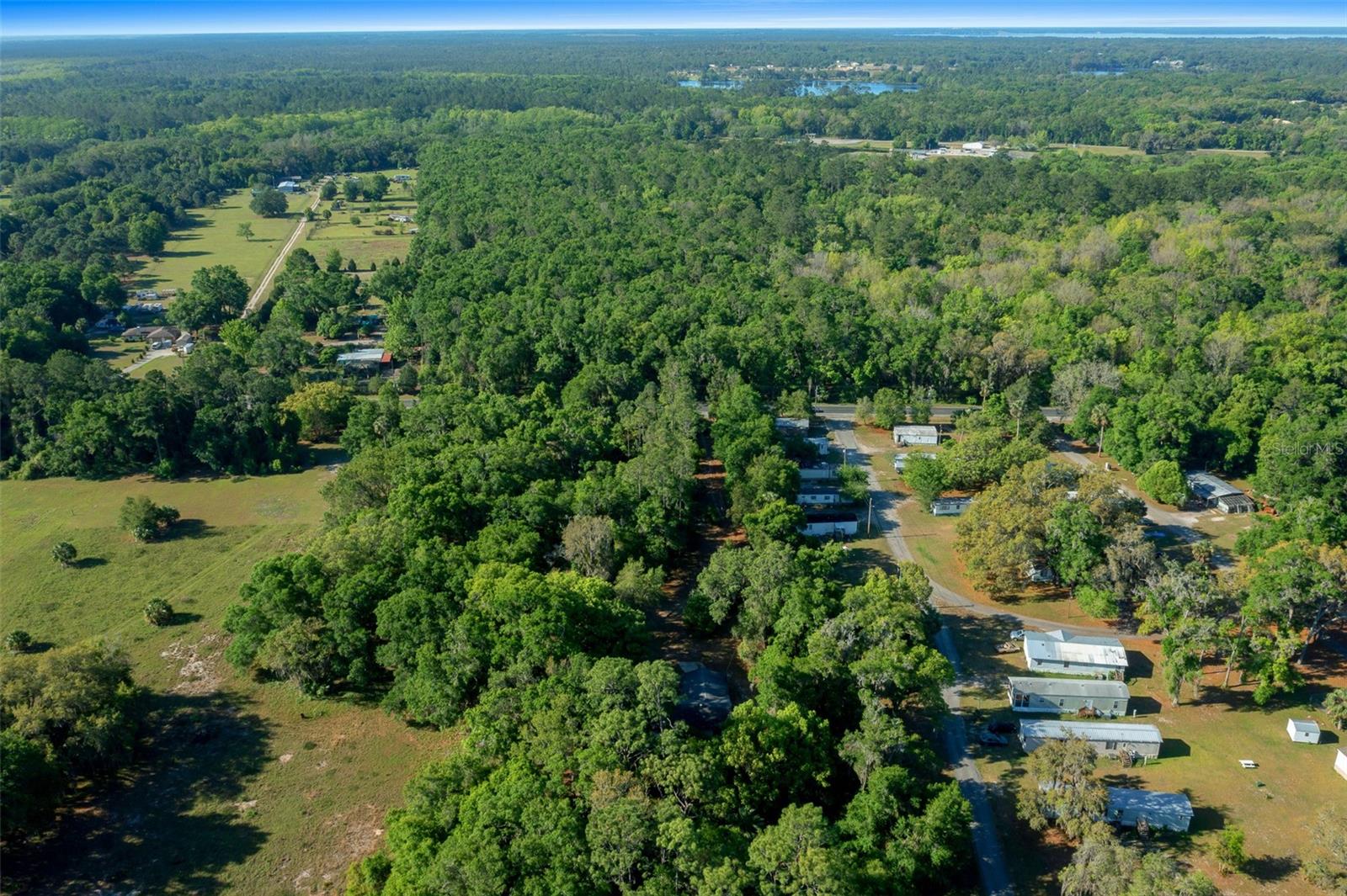 16571 SE 95TH STREET RD, OCKLAWAHA, FL, 32179