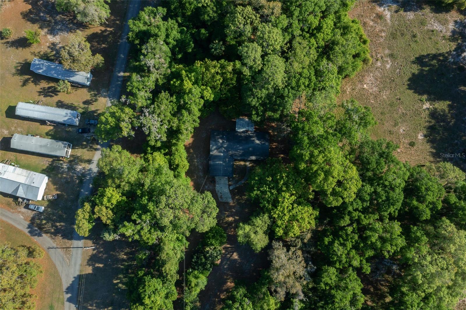 16571 SE 95TH STREET RD, OCKLAWAHA, FL, 32179