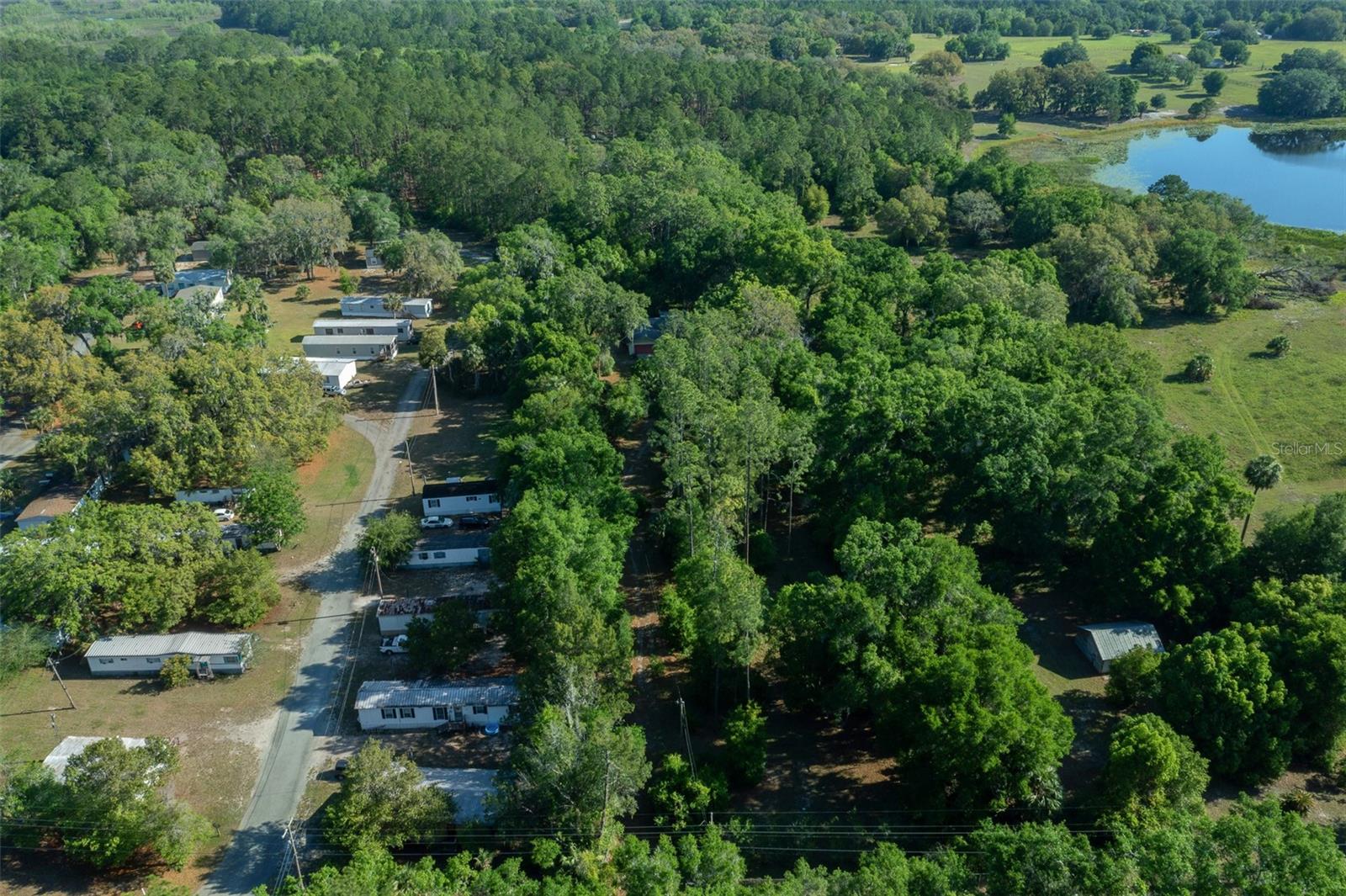 16571 SE 95TH STREET RD, OCKLAWAHA, FL, 32179