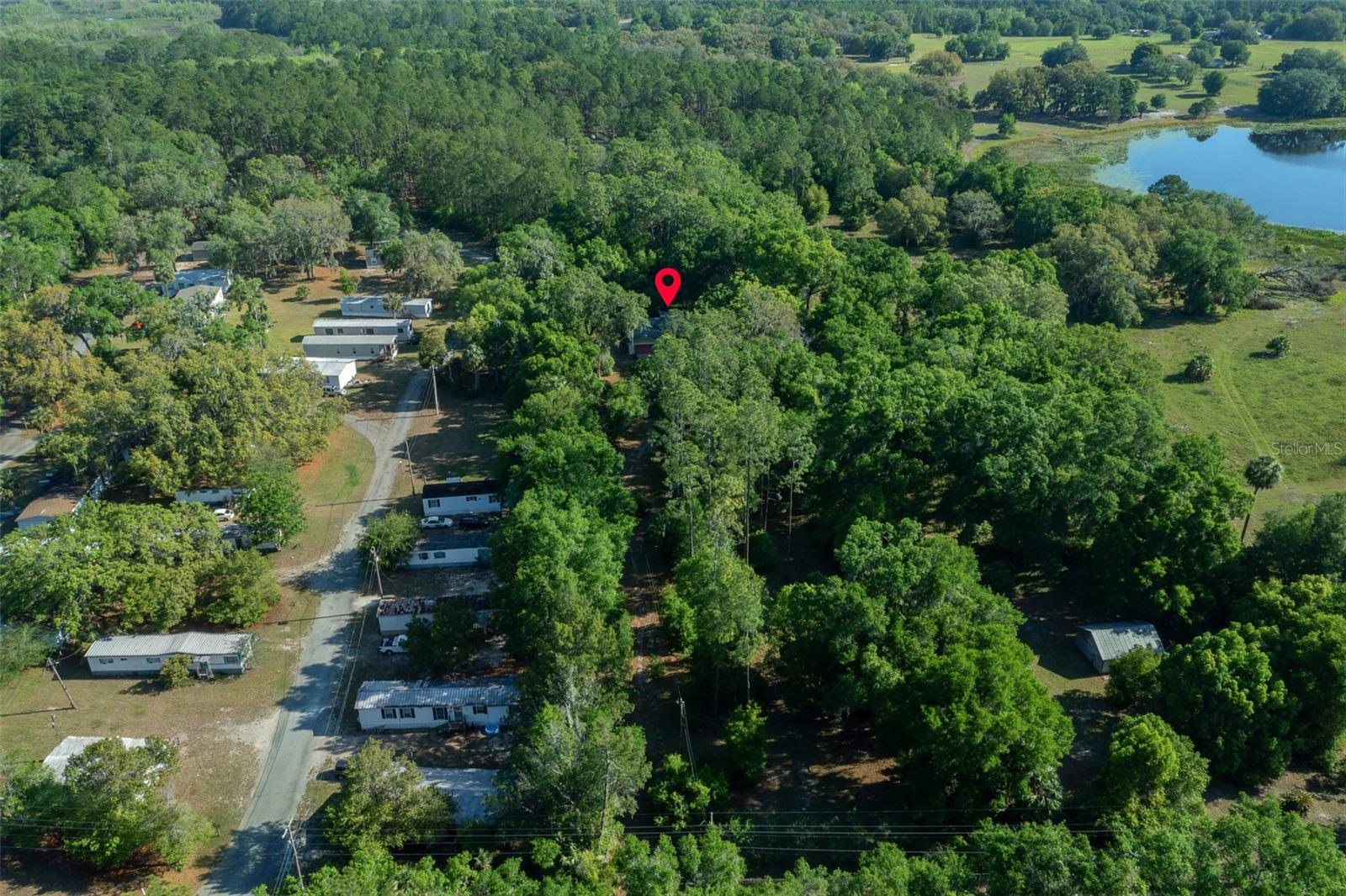 16571 SE 95TH STREET RD, OCKLAWAHA, FL, 32179