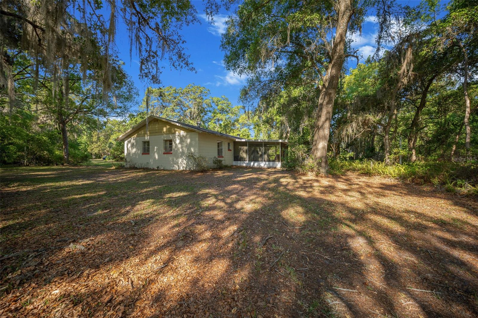 16571 SE 95TH STREET RD, OCKLAWAHA, FL, 32179