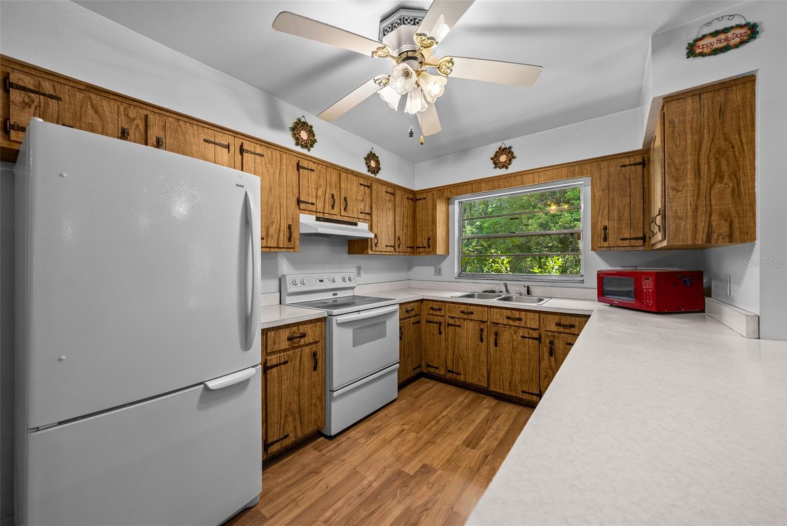 16571 SE 95TH STREET RD, OCKLAWAHA, FL, 32179