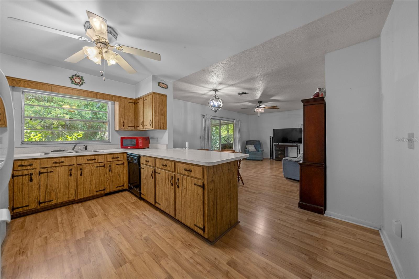 16571 SE 95TH STREET RD, OCKLAWAHA, FL, 32179