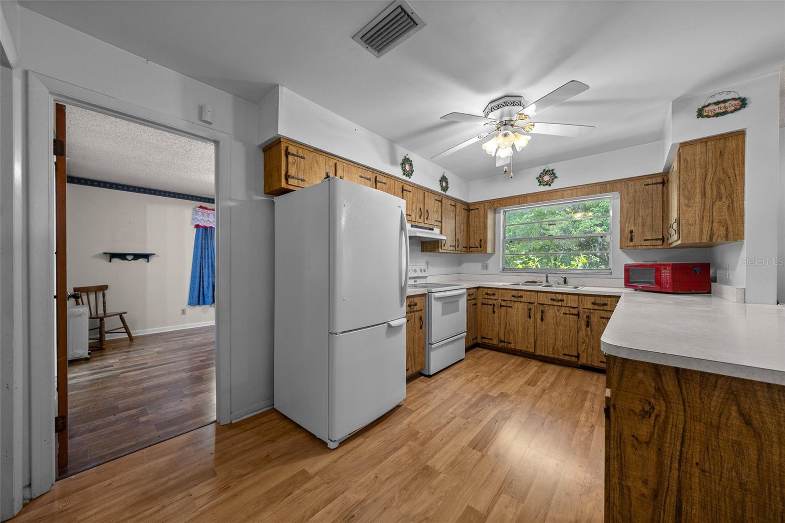 16571 SE 95TH STREET RD, OCKLAWAHA, FL, 32179