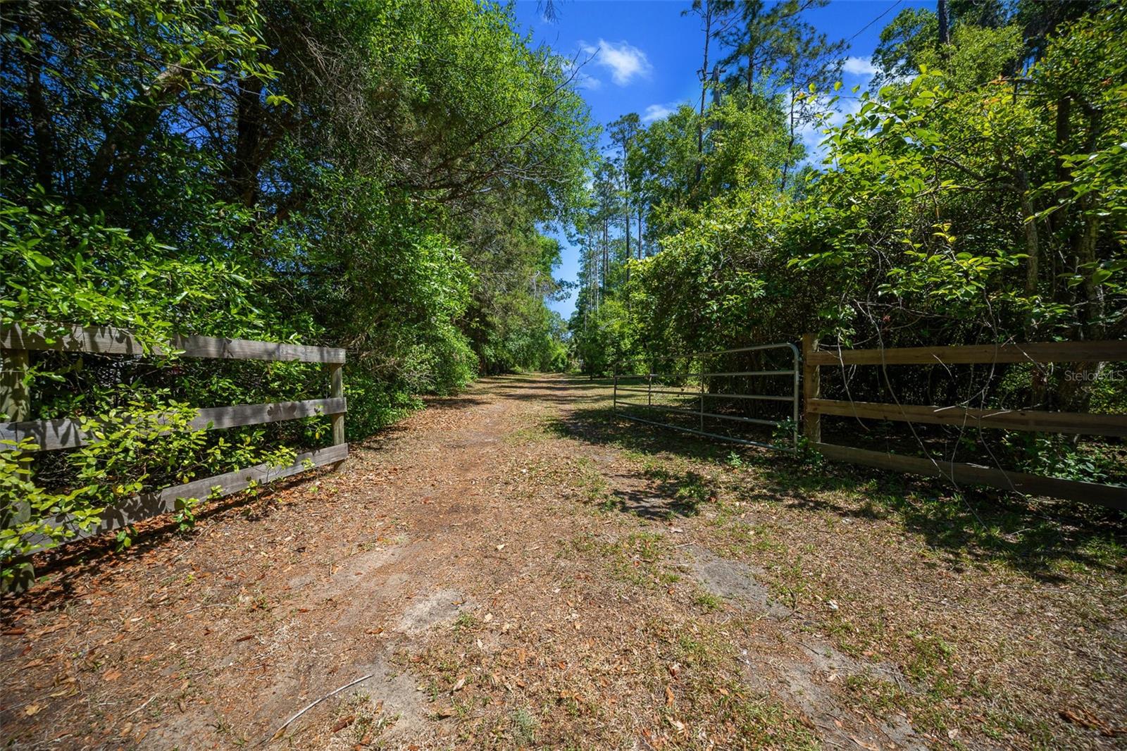 16571 SE 95TH STREET RD, OCKLAWAHA, FL, 32179