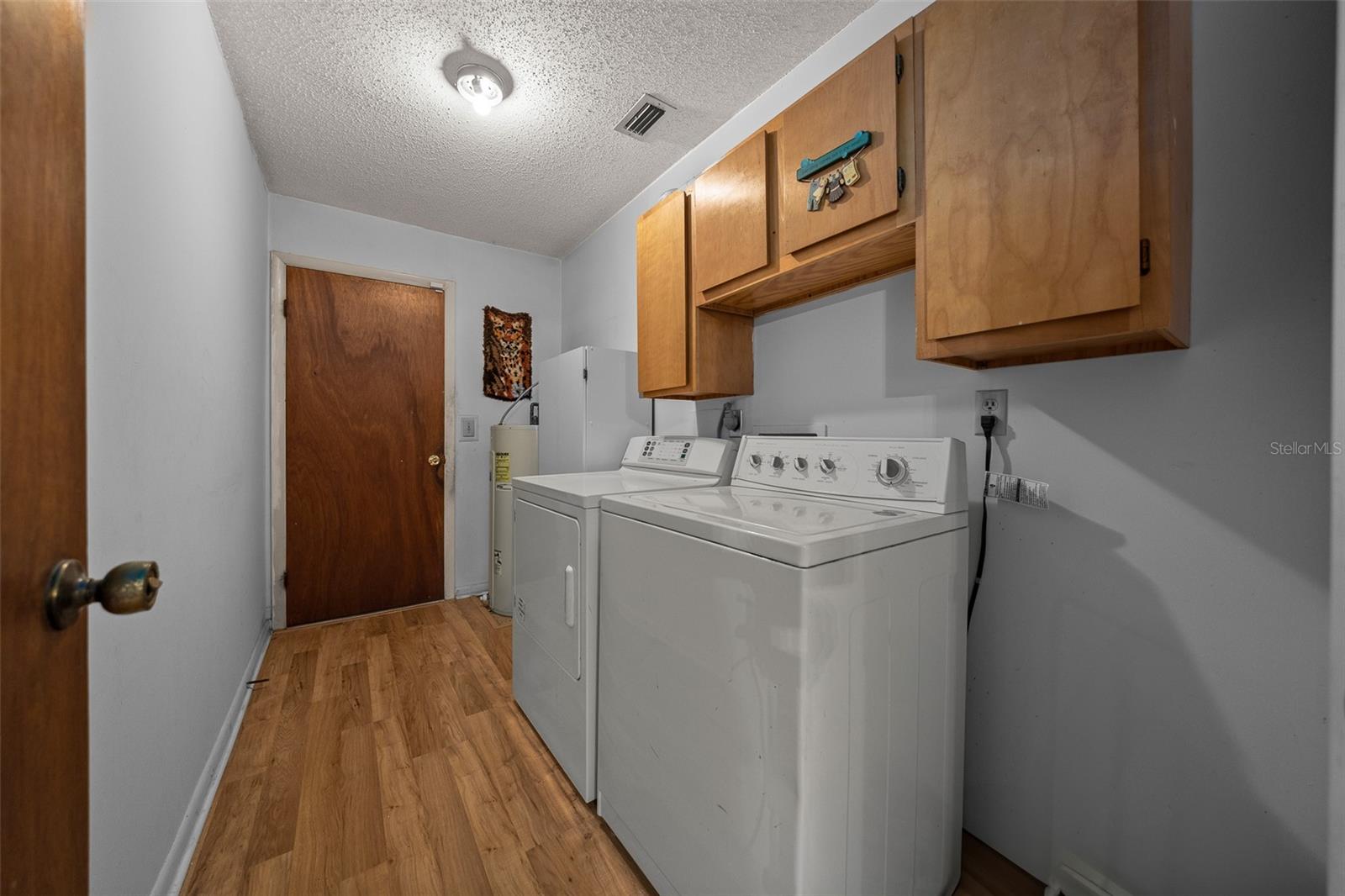 16571 SE 95TH STREET RD, OCKLAWAHA, FL, 32179