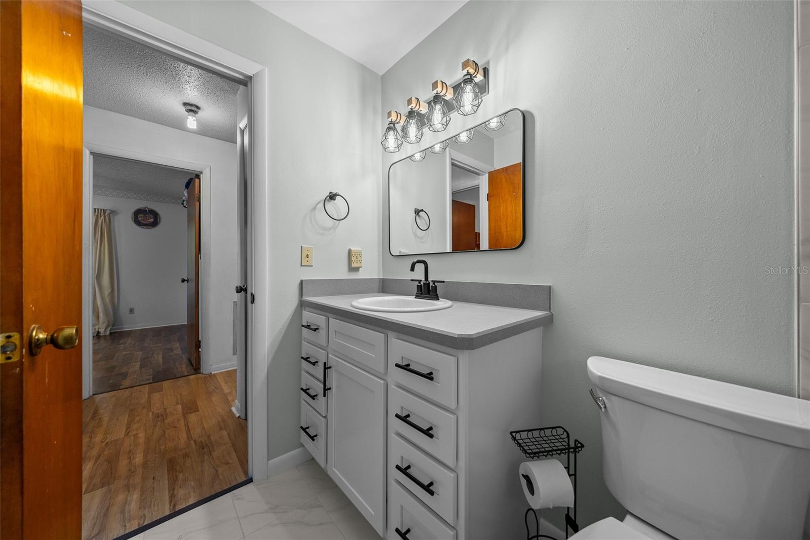 16571 SE 95TH STREET RD, OCKLAWAHA, FL, 32179