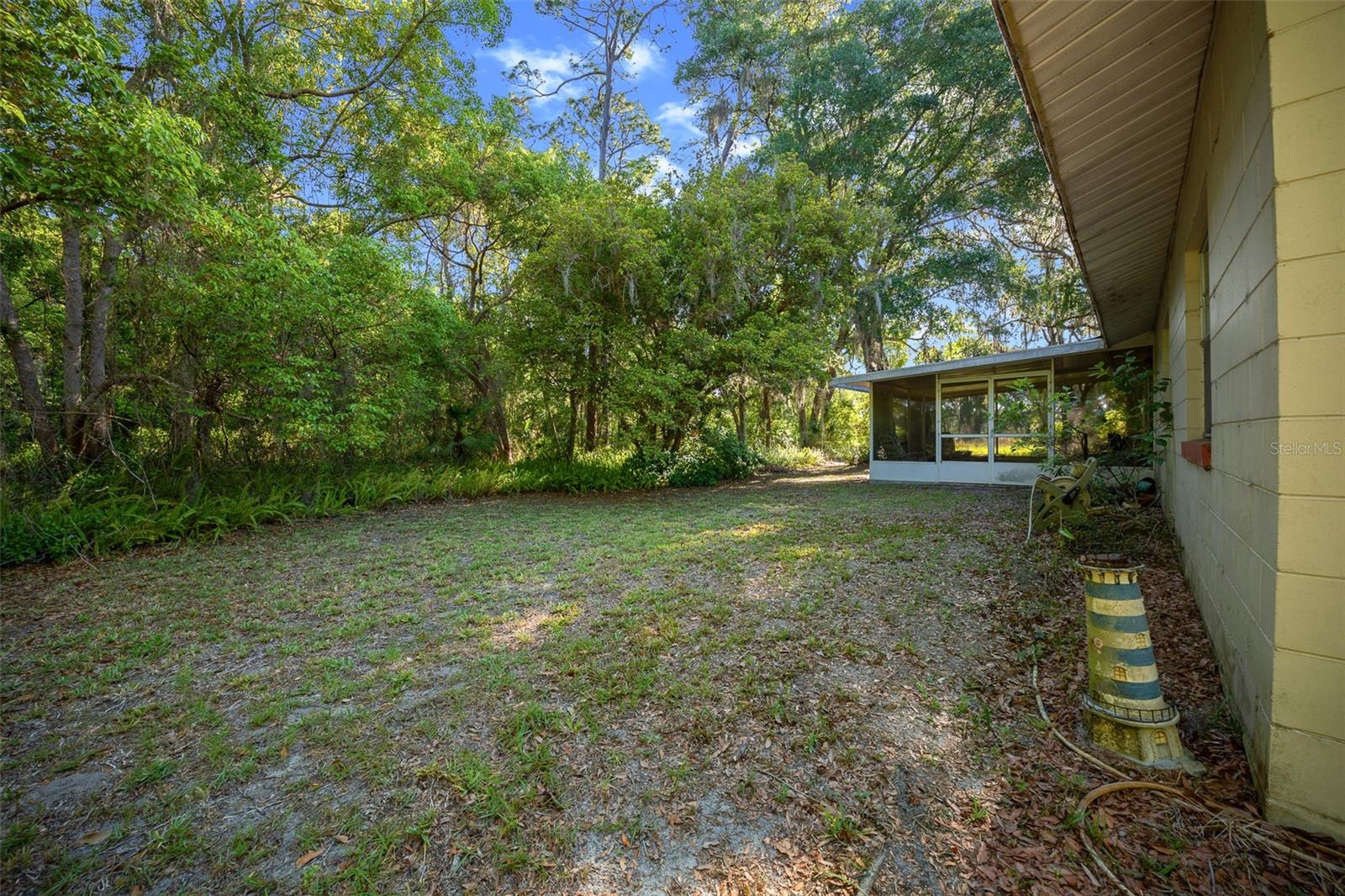 16571 SE 95TH STREET RD, OCKLAWAHA, FL, 32179