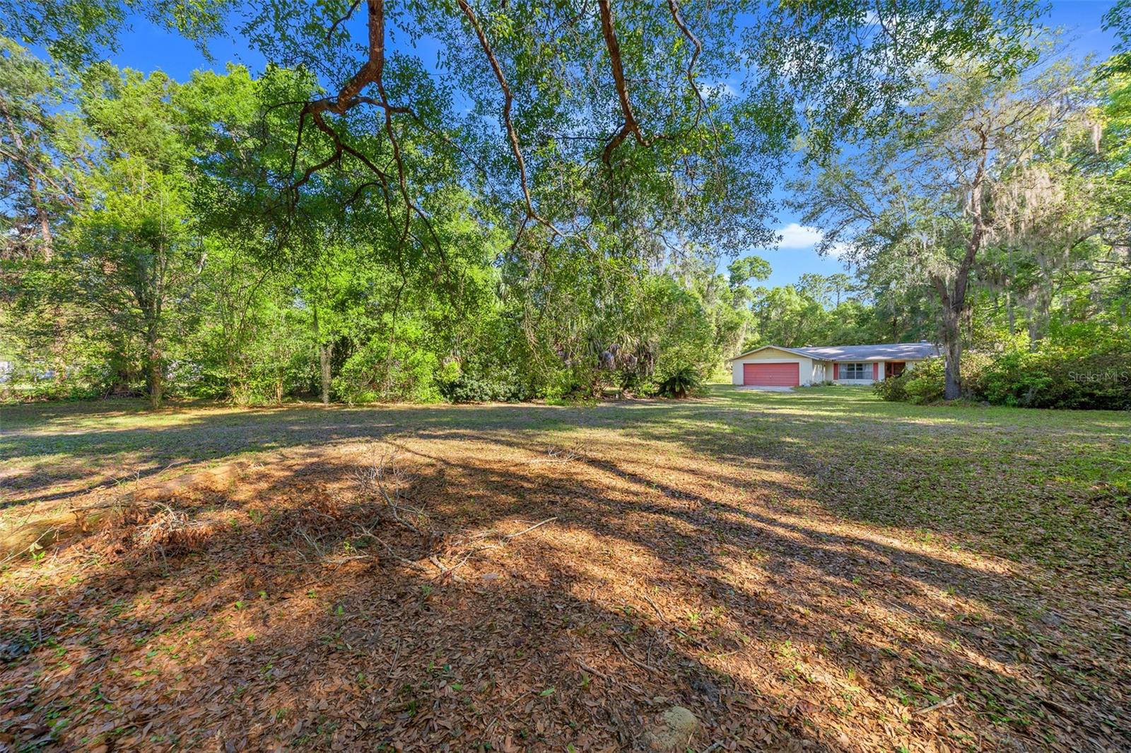 16571 SE 95TH STREET RD, OCKLAWAHA, FL, 32179