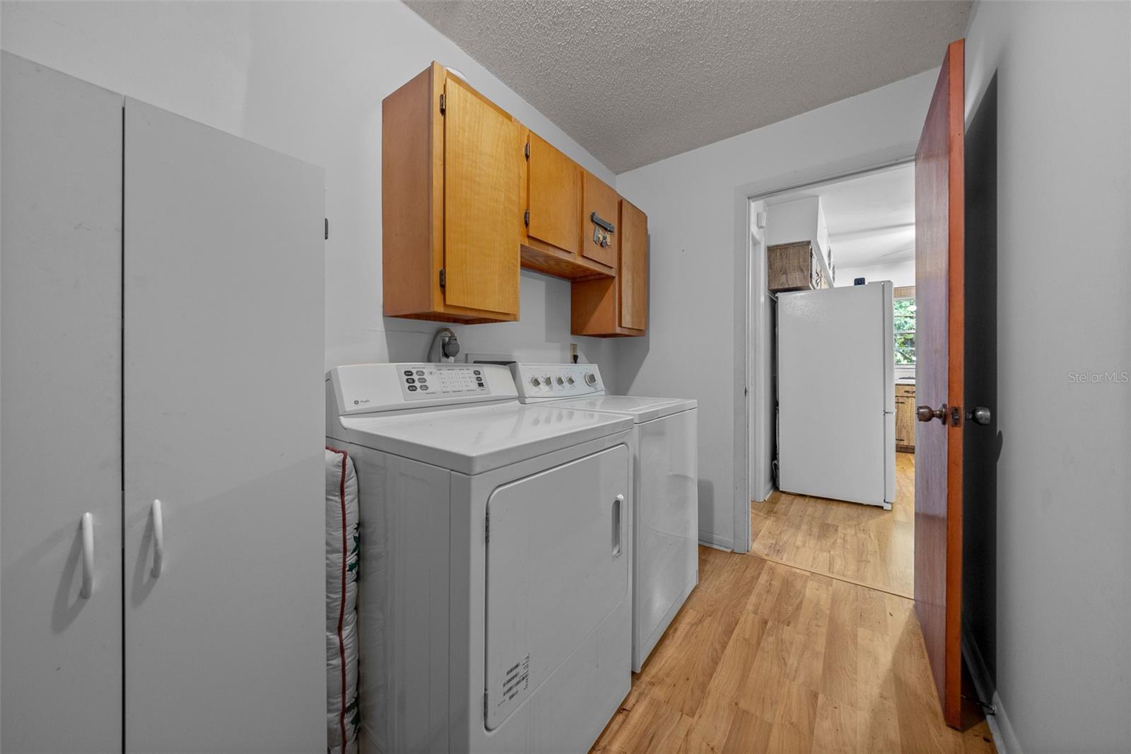 16571 SE 95TH STREET RD, OCKLAWAHA, FL, 32179