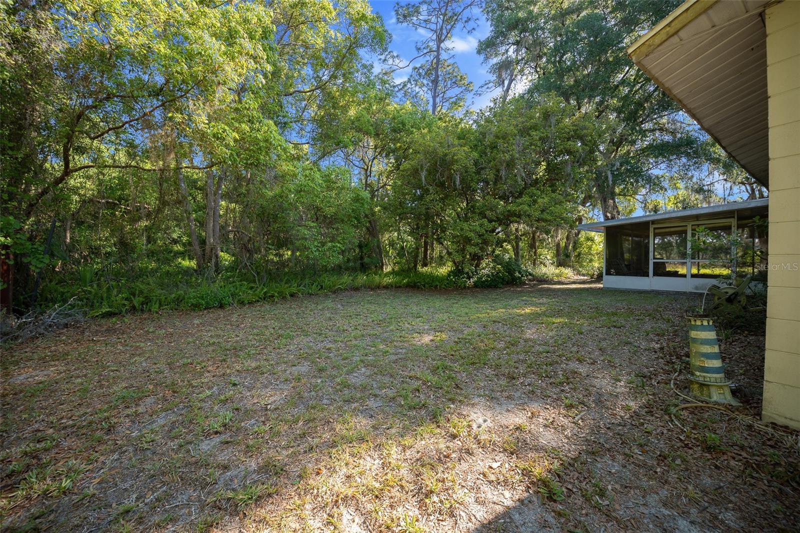 16571 SE 95TH STREET RD, OCKLAWAHA, FL, 32179