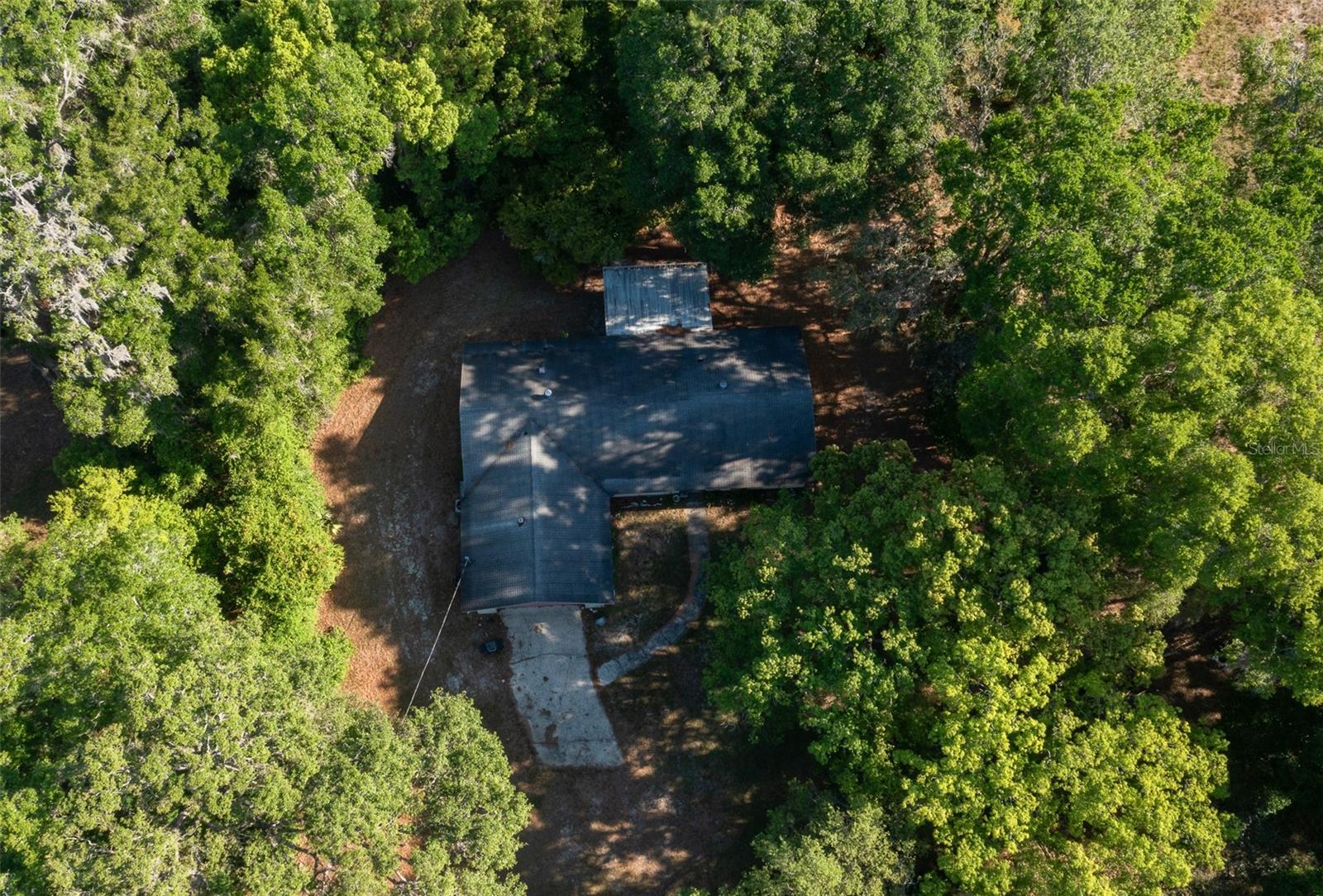 16571 SE 95TH STREET RD, OCKLAWAHA, FL, 32179