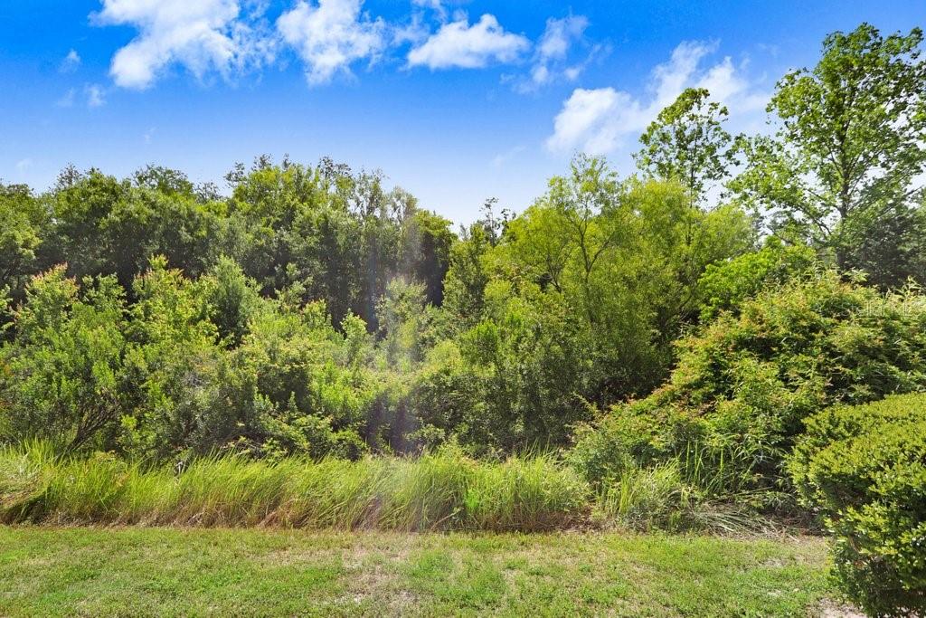 2050 PARK CRESCENT DR, LAND O LAKES, FL, 34639