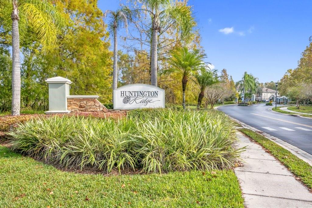 2050 PARK CRESCENT DR, LAND O LAKES, FL, 34639