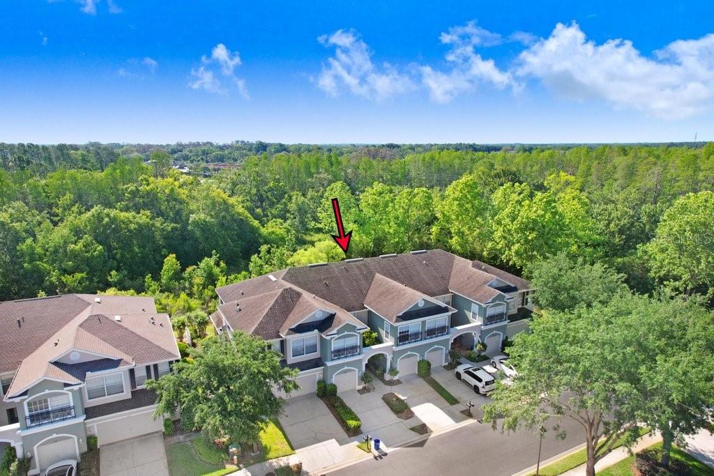 2050 PARK CRESCENT DR, LAND O LAKES, FL, 34639