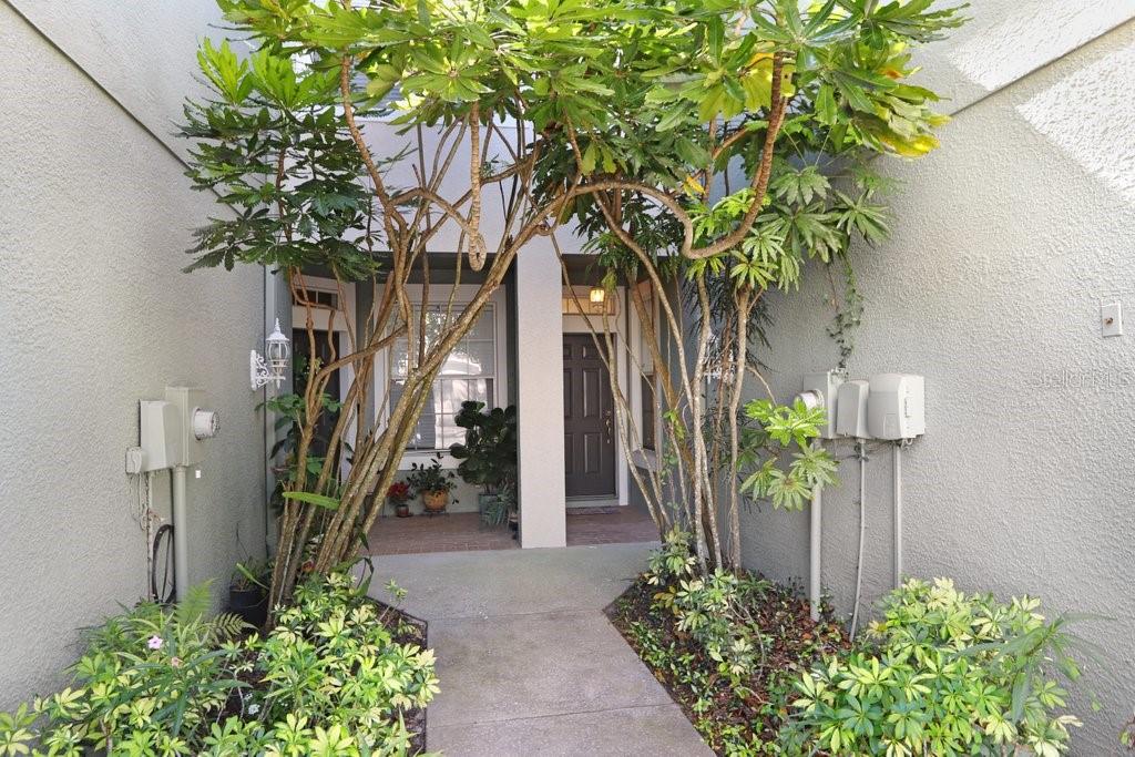 2050 PARK CRESCENT DR, LAND O LAKES, FL, 34639