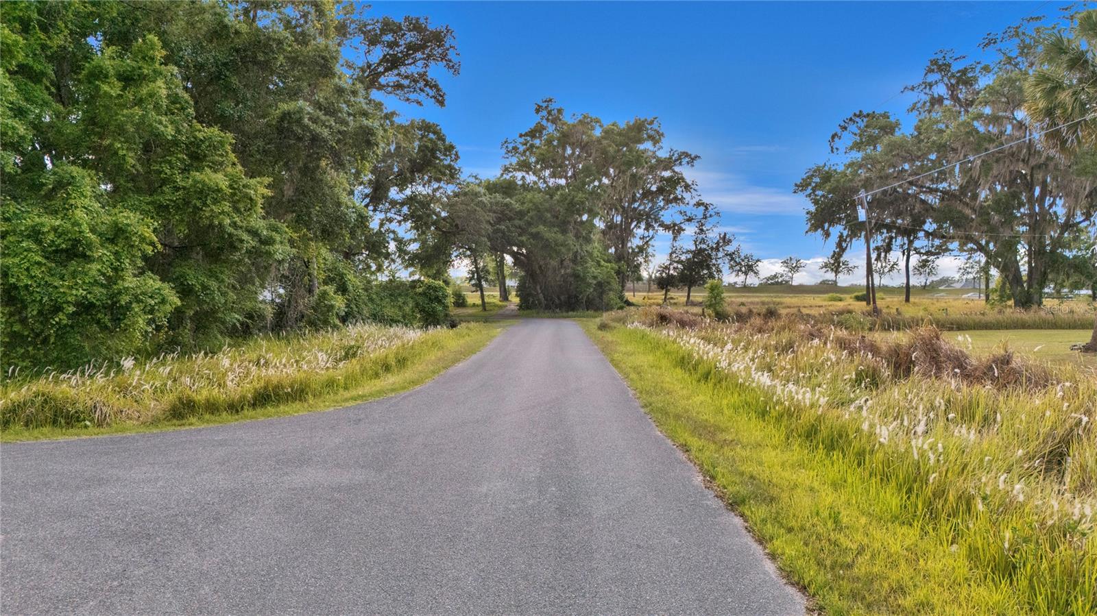 TBD NW 14TH AVE, OCALA, FL, 34475