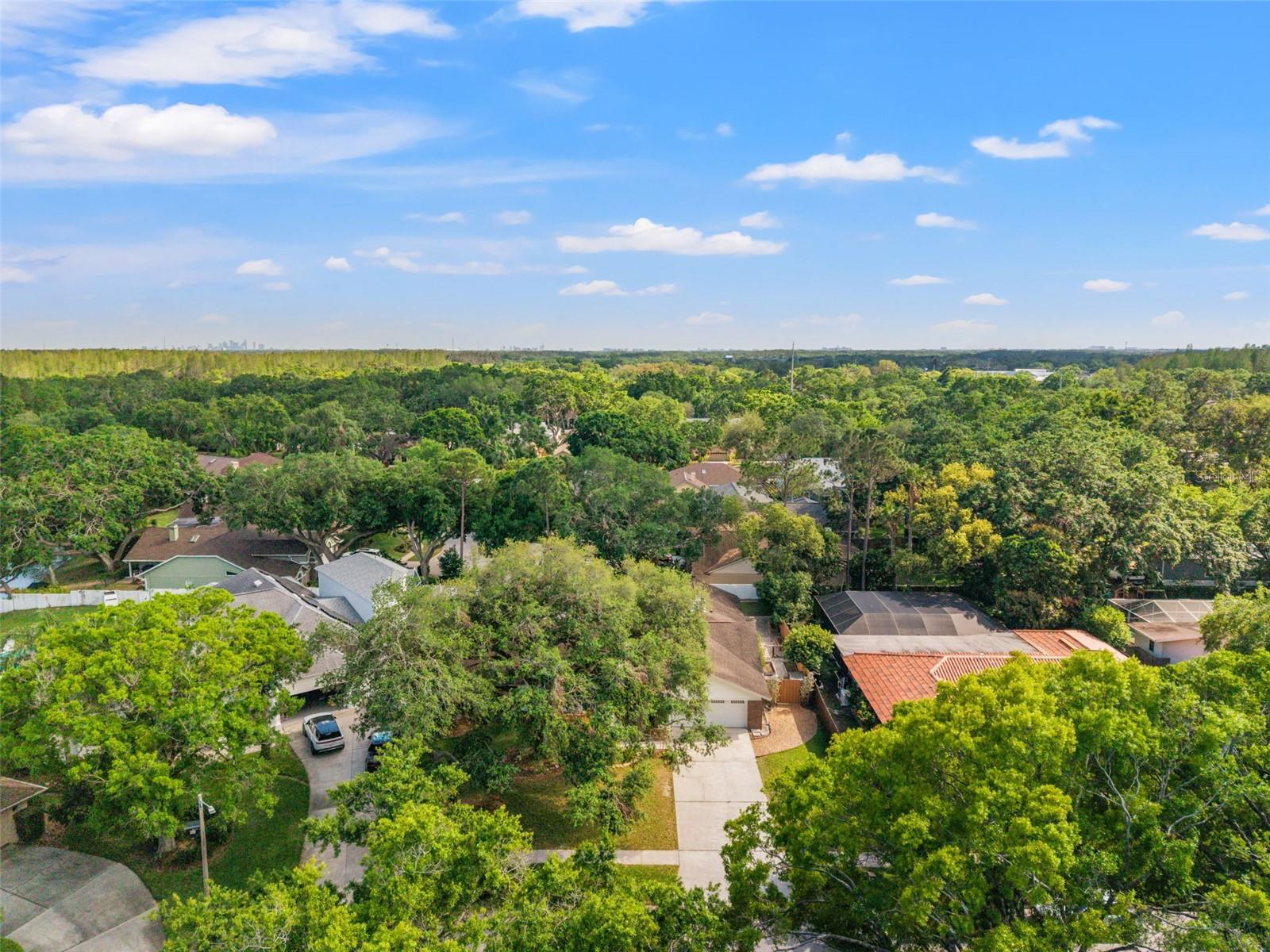 11709 ROLLING OAKS LN, TAMPA, FL, 33618