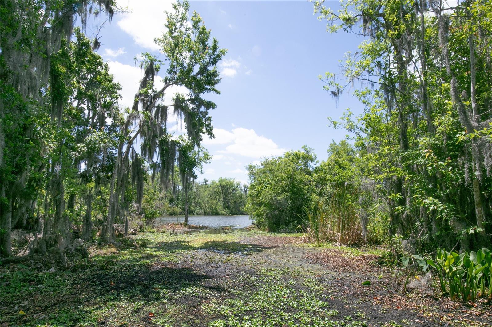 17728 PALM VIEW CIR, MOUNT DORA, FL, 32757