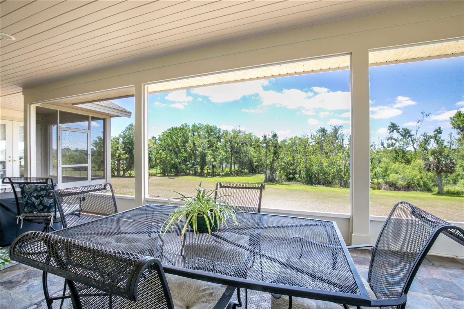 17728 PALM VIEW CIR, MOUNT DORA, FL, 32757